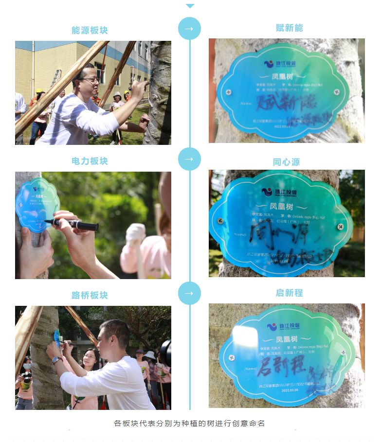 各项目代表命名.png